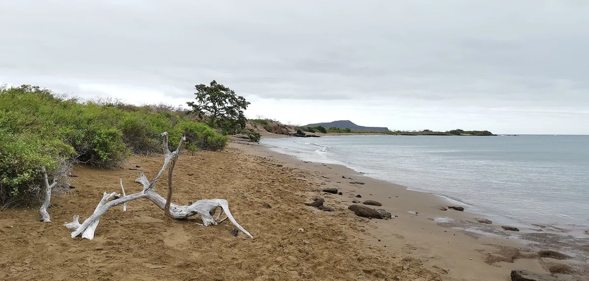 Plage de Punta Cormorant, Floreana, Galápagos, Équateur — 3