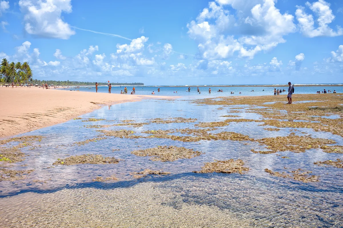 Plage de Taipu de Fora, Maraú, Brazilian Atlantic, Brésil