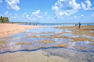 Plage de Taipu de Fora
