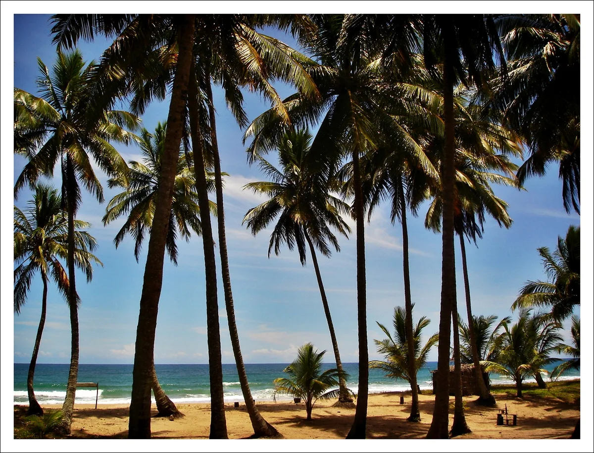 Plage de Taipu de Fora, Maraú, Brazilian Atlantic, Brésil — 4