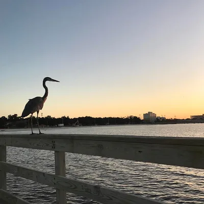 Biloxi Beach, Biloxi, US Gulf Coast, United States — 2