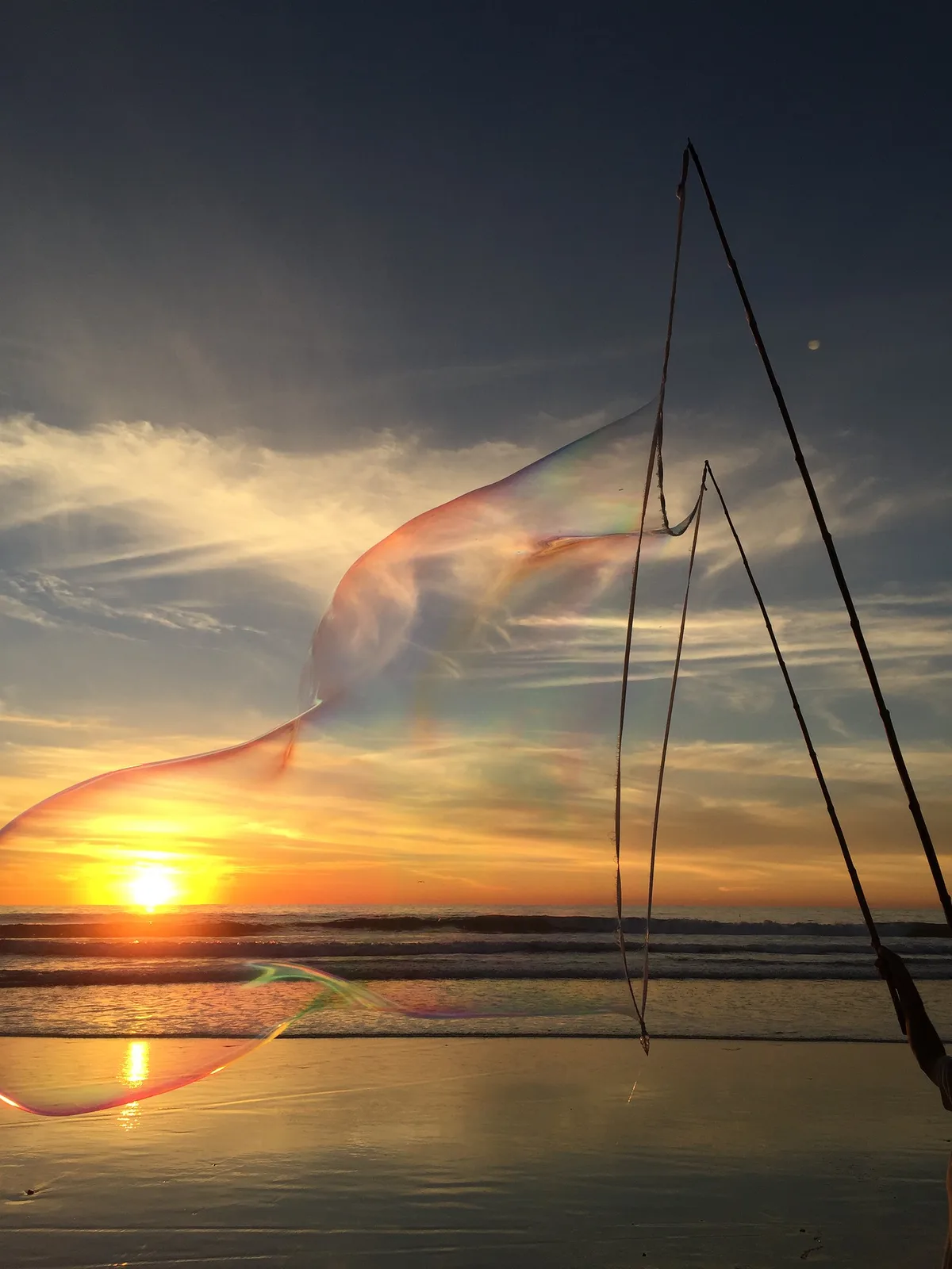 Moonlight State Beach, Encinitas, California Coast, États-Unis — 3
