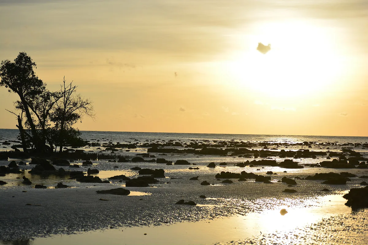 Elephant Beach, Swaraj Dweep, Andaman and Nicobar Islands, India — 3