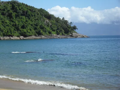 Jabaquara Beach, Ilhabela, São Paulo Coast, Brazil — 3