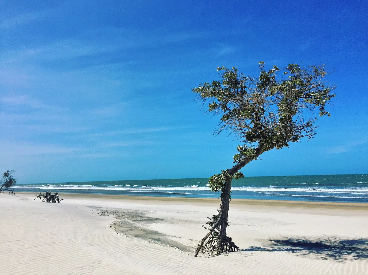 Plage de la Malhada, Jijoca de Jericoacoara, Northeast Brazil, Brésil — 2