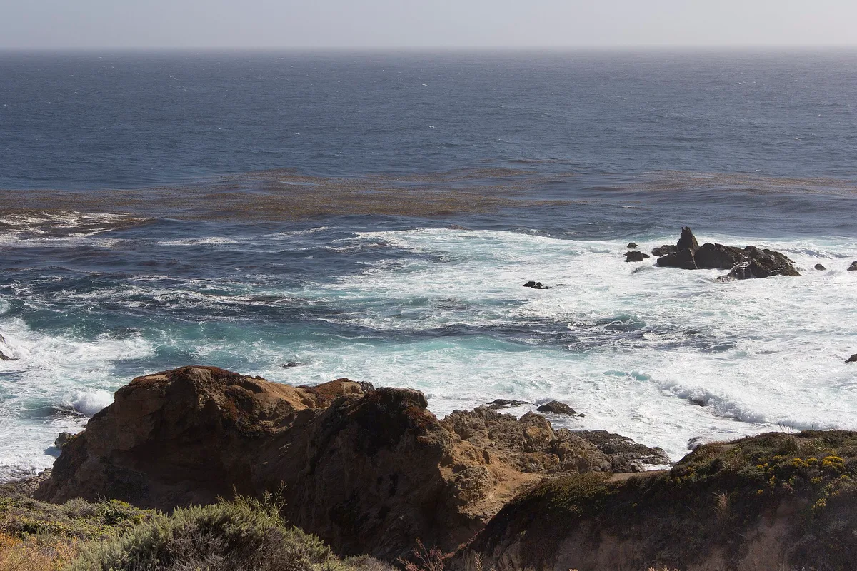 Playa de Andrew Molera State Park, Big Sur, Monterey County, California Coast, Estados Unidos — 6