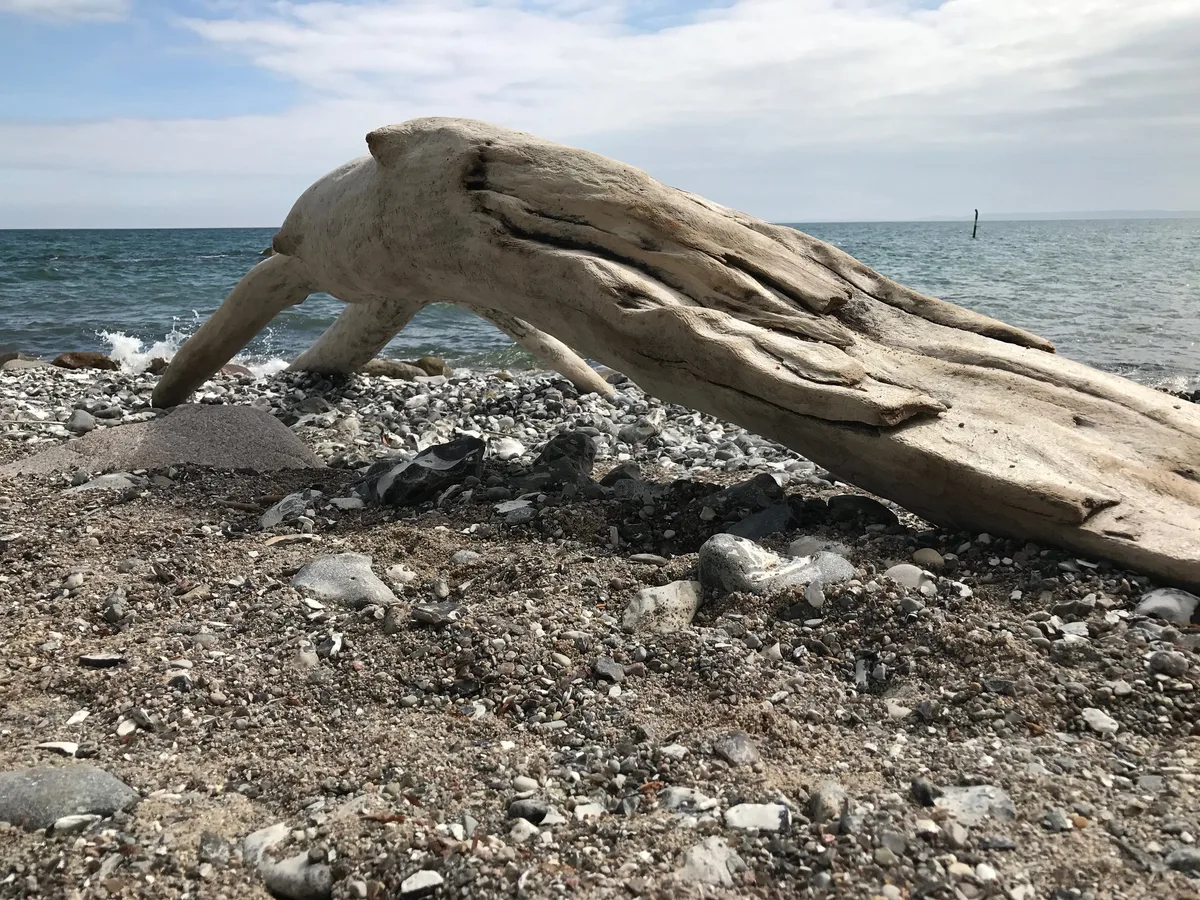 Mukran Beach, Sassnitz, Baltic Sea, Germany