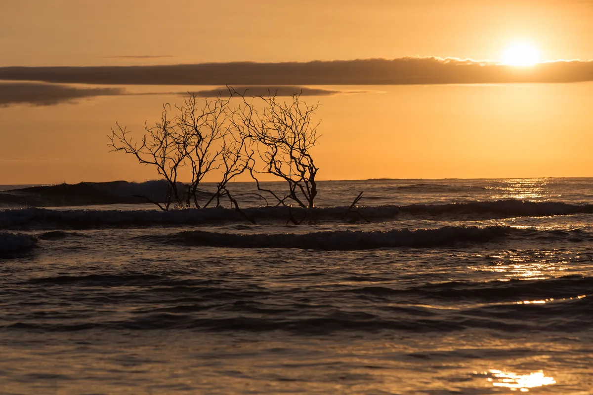 Sámara Beach, Nicoya, Central American Pacific, Costa Rica — 4