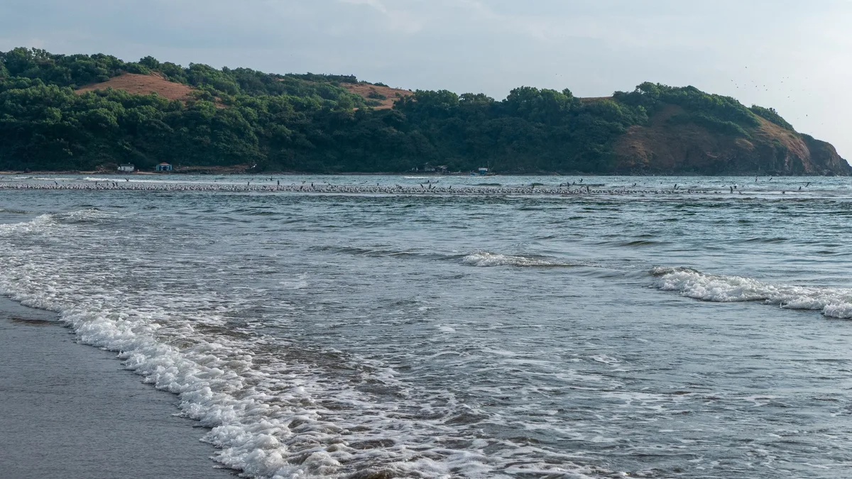 Morjim-strand, Morjim, Indian West Coast, India — 3