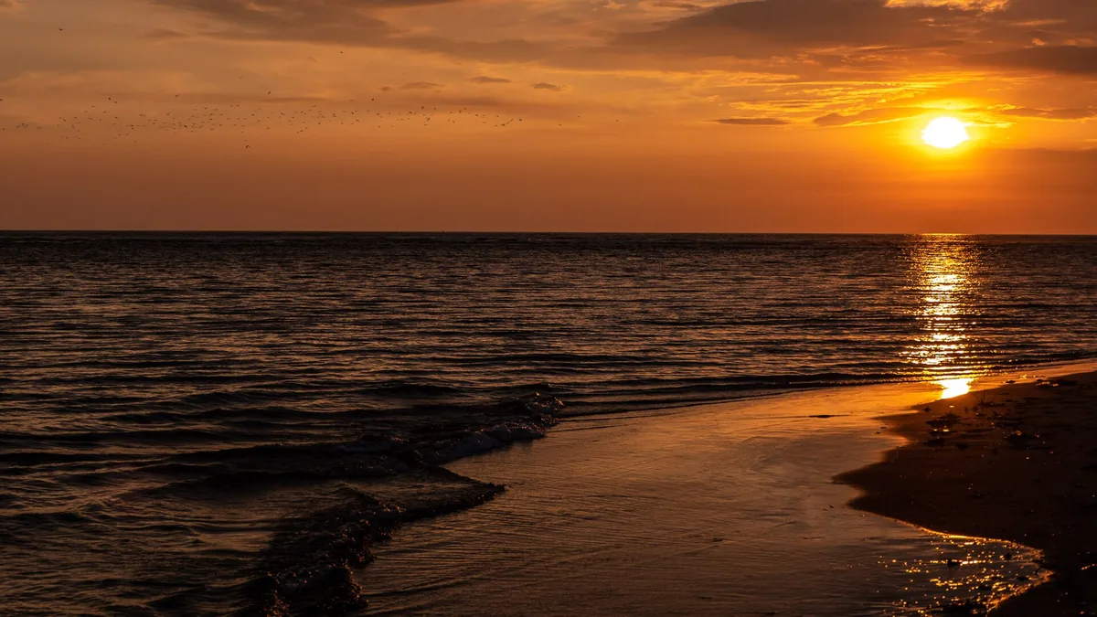 Morjim-strand, Morjim, Indian West Coast, India
