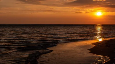 Praia de Morjim