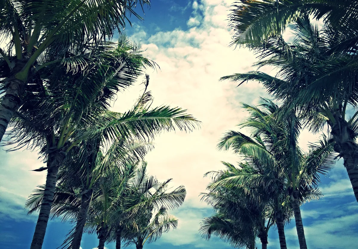 Haulover-Strand, Miami-Dade County (unincorporated), Florida, Vereinigte Staaten — 4