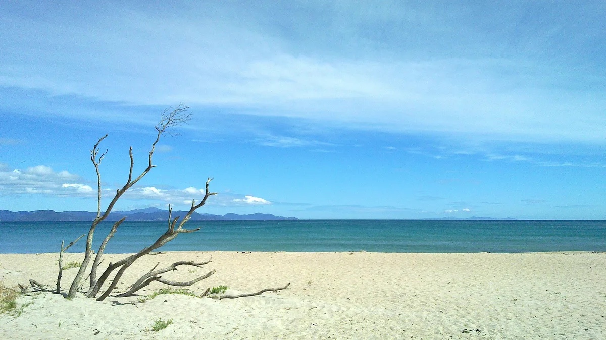 Spiaggia di Kuaotunu, Thames-Coromandel District, Waikato, Nuova Zelanda