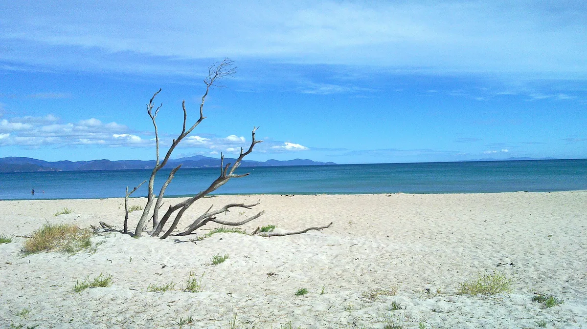 Spiaggia di Kuaotunu, Thames-Coromandel District, Waikato, Nuova Zelanda — 3