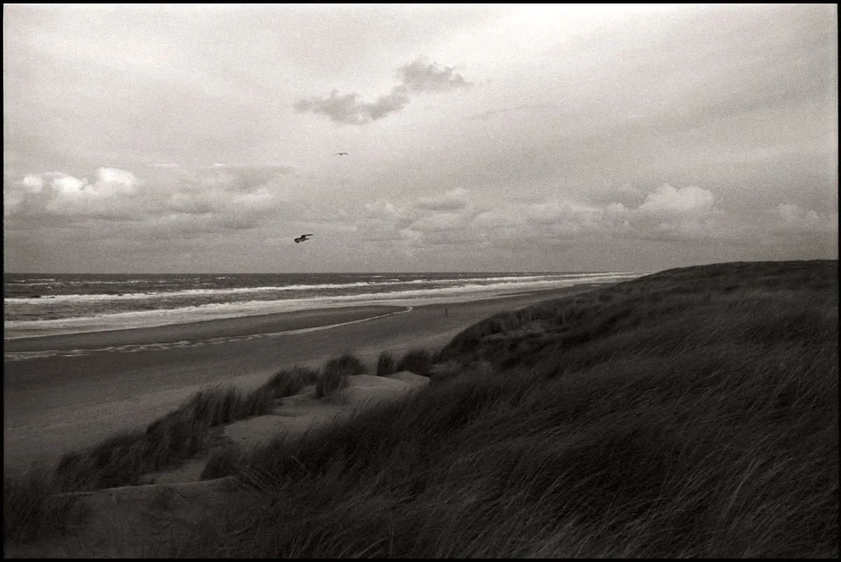 Strand Paal 25, Texel, North Holland, Nederland