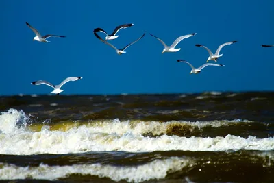 Strand Paal 25, Texel, North Holland, Nederland — 6