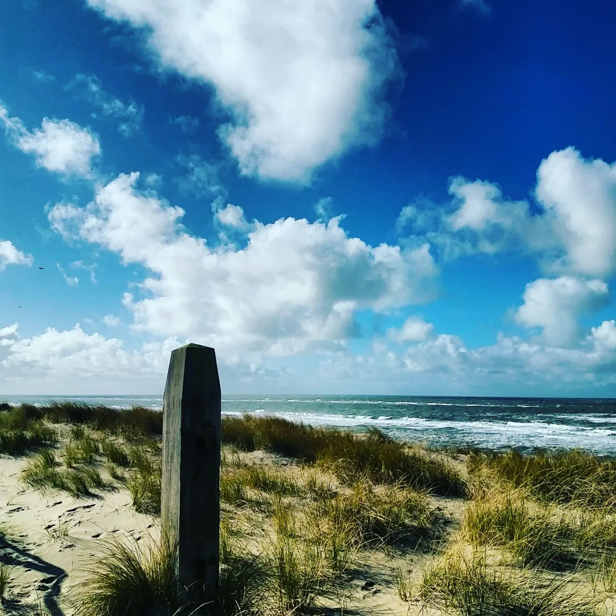 Strand Paal 25, Texel, North Holland, Nederland — 3