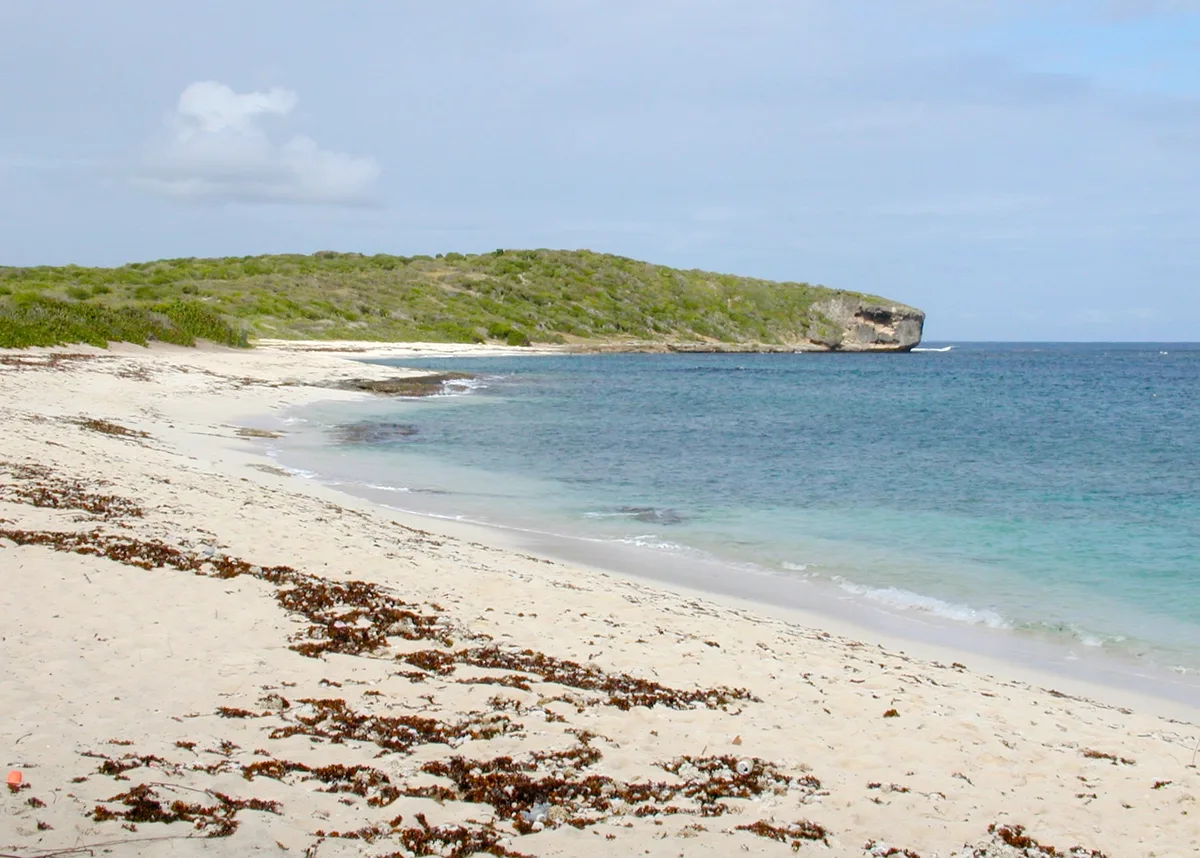 Anse à la Gourde Beach, Saint-François, French Antilles, Guadeloupe — 3