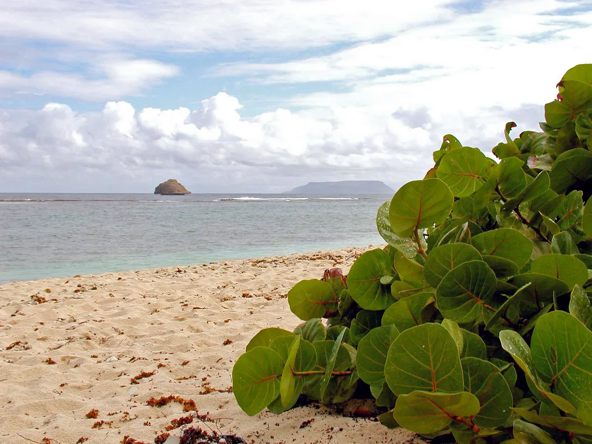 Anse à la Gourde Beach, Saint-François, French Antilles, Guadeloupe — 2