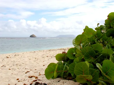 Anse à la Gourde Beach