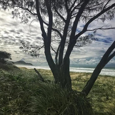 Tallows Beach — Cosy Corner, Byron Bay, Australian East Coast, Australie — 5