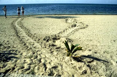 South Beach, Key West, Florida Keys, États-Unis — 5
