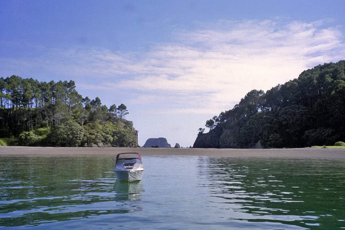 Roberton Island-Strand, Far North District, Northland, Neuseeland — 5