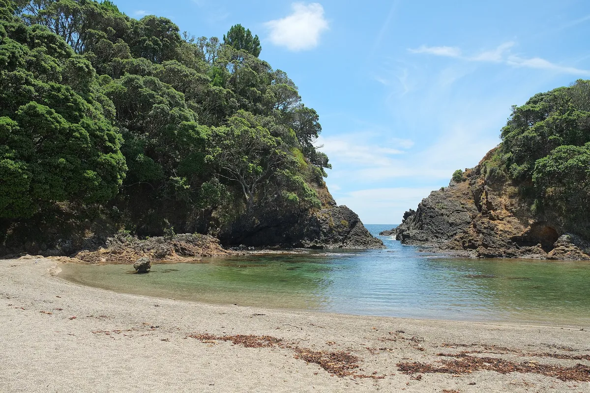 Roberton Island-Strand, Far North District, Northland, Neuseeland — 3