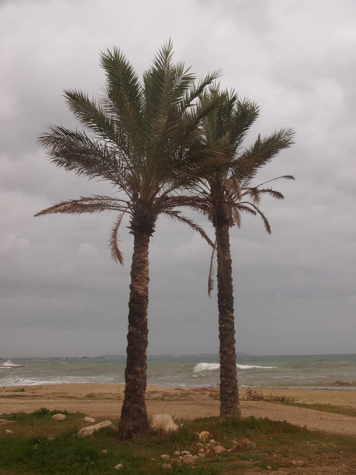 Platja de Cambrils, Cambrils, Catalonia, España — 2