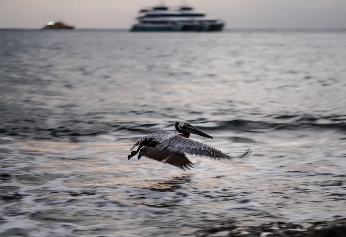 Plage des Casitas, San Miguel de Cozumel, Yucatan Islands, Mexique — 2