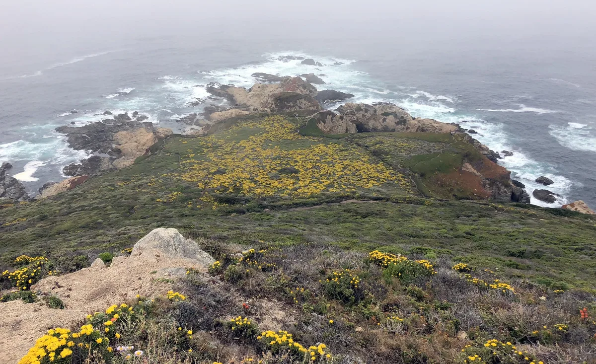 Plage du Soberanes Point, Carmel Highlands, Monterey County, California Coast, États-Unis — 3
