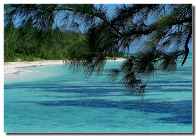 Plage de l'Île aux Cerfs