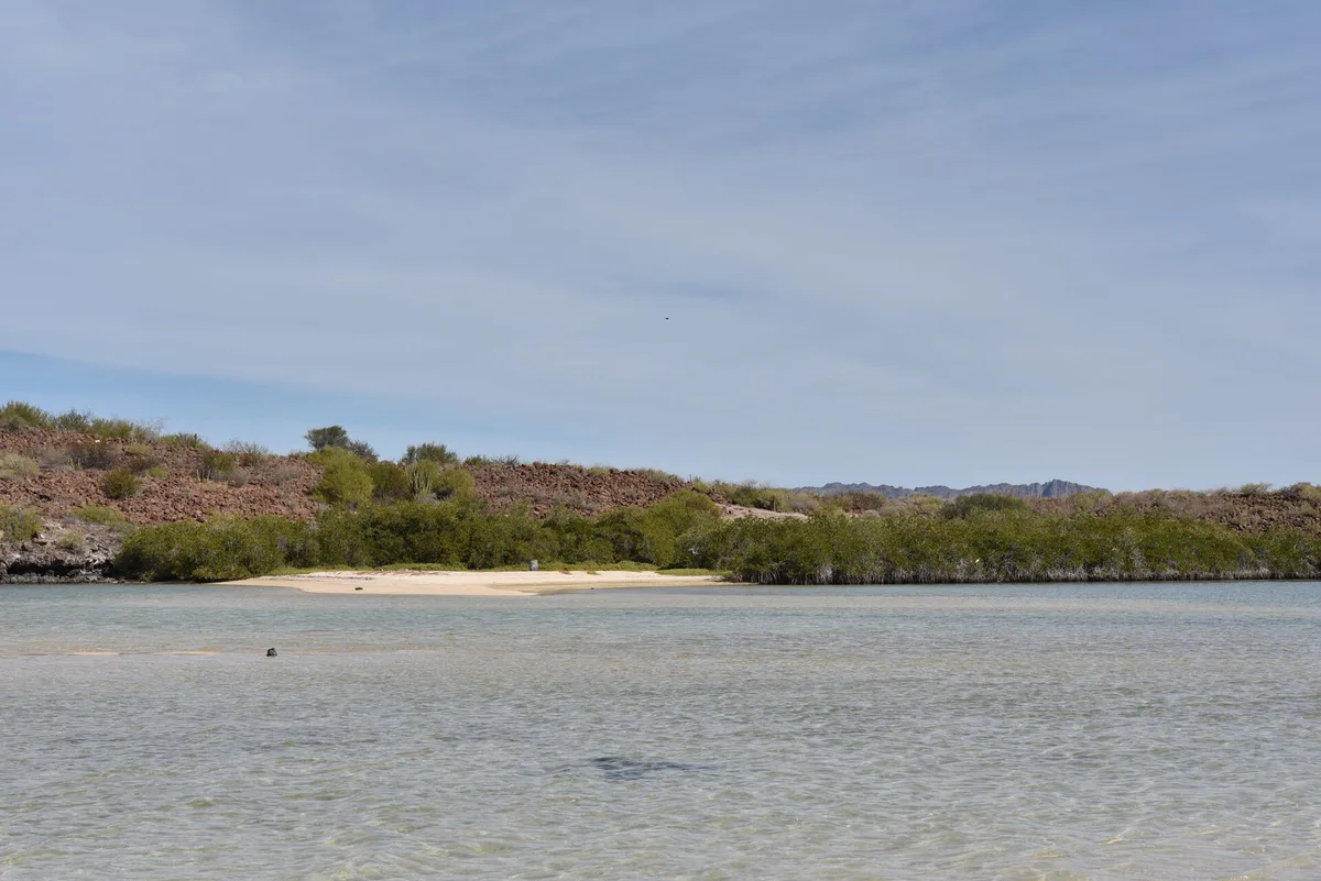 Playa El Requesón, Mulegé, Baja California Sur, México — 2
