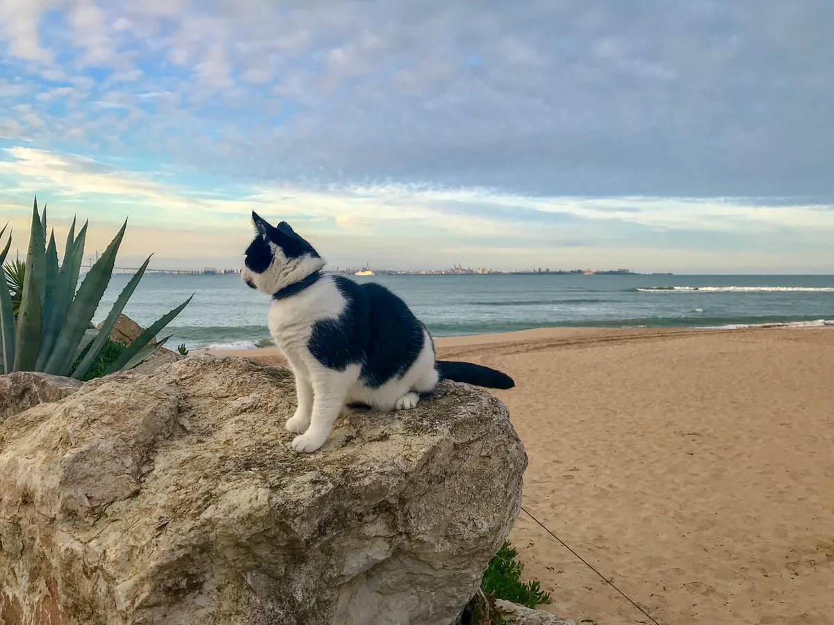 Playa de La Muralla, El Puerto de Santa María, Andalusia, España — 2