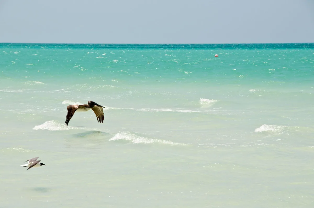 Xaloc-Strand, Lázaro Cárdenas, Yucatan Peninsula, Mexiko — 5