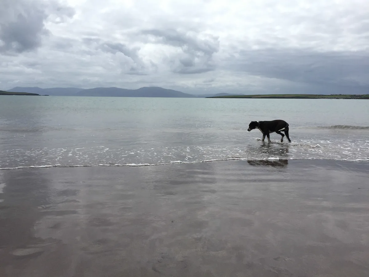 An Trá Bhán Beach, Ballyferriter, Irish Coast, Ireland — 5