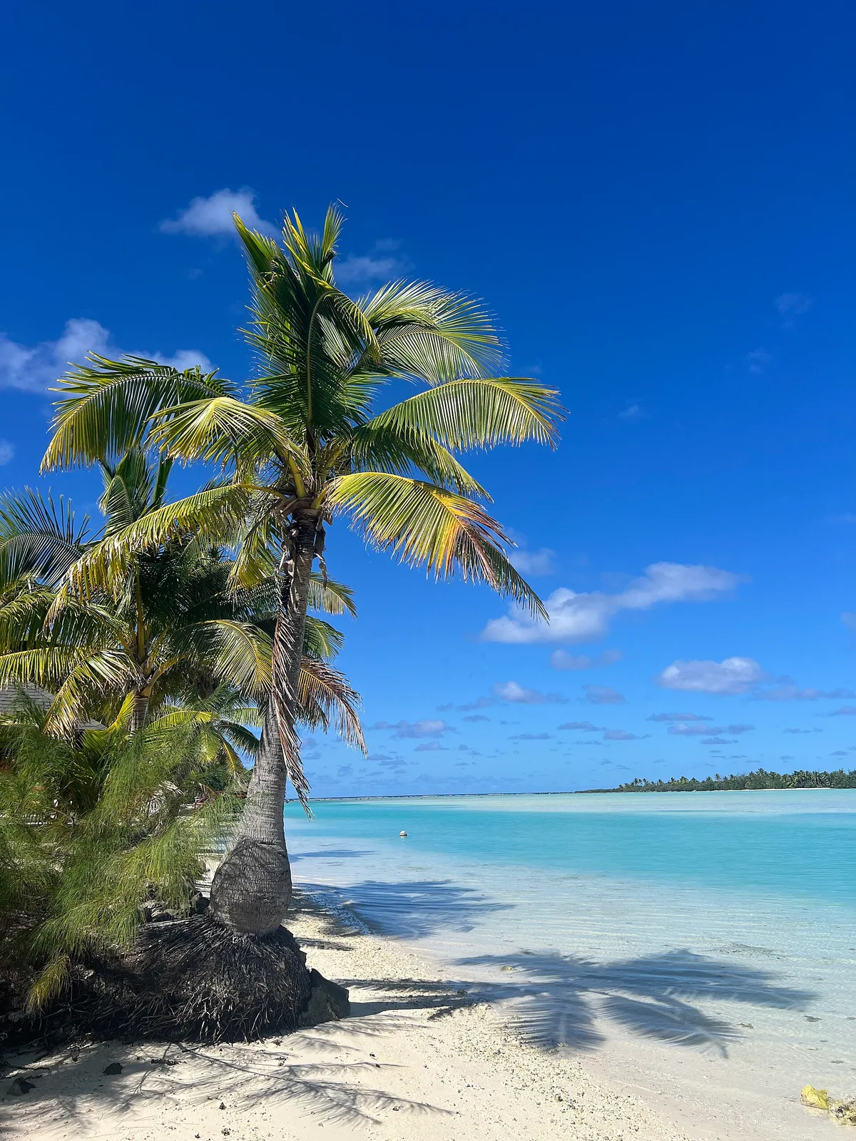 Playa de Tautu, Aitutaki, Cook Islands, Islas Cook