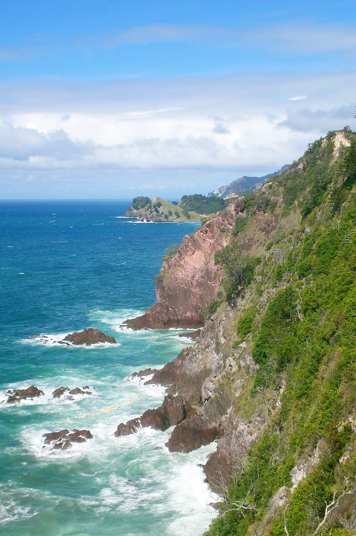 Whiritoa-Strand, Whiritoa, Waikato, Neuseeland — 2