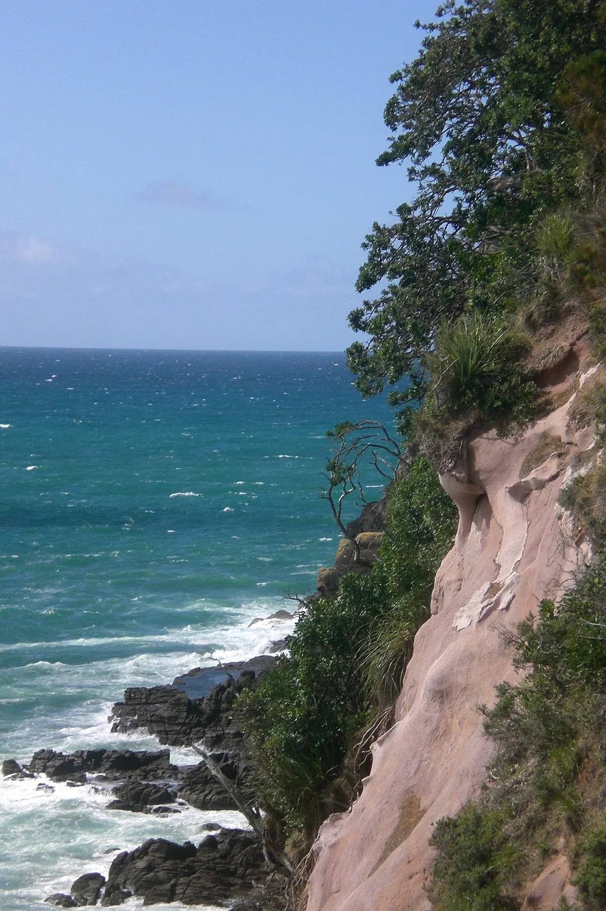 Whiritoa-Strand, Whiritoa, Waikato, Neuseeland — 4