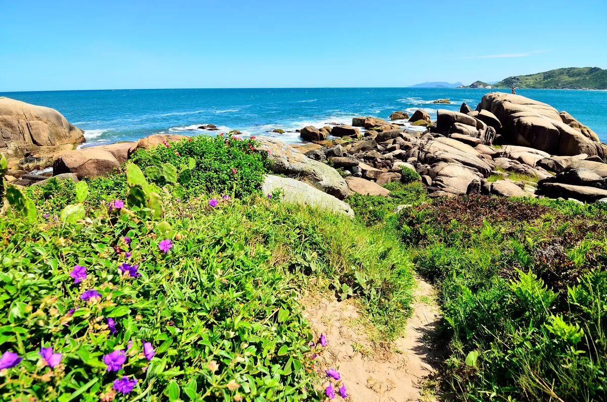 Plage de la Galheta, Florianópolis, Brazilian Atlantic, Brésil — 5