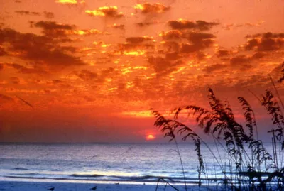 Sunset Beach, Tarpon Springs, Florida, États-Unis — 2