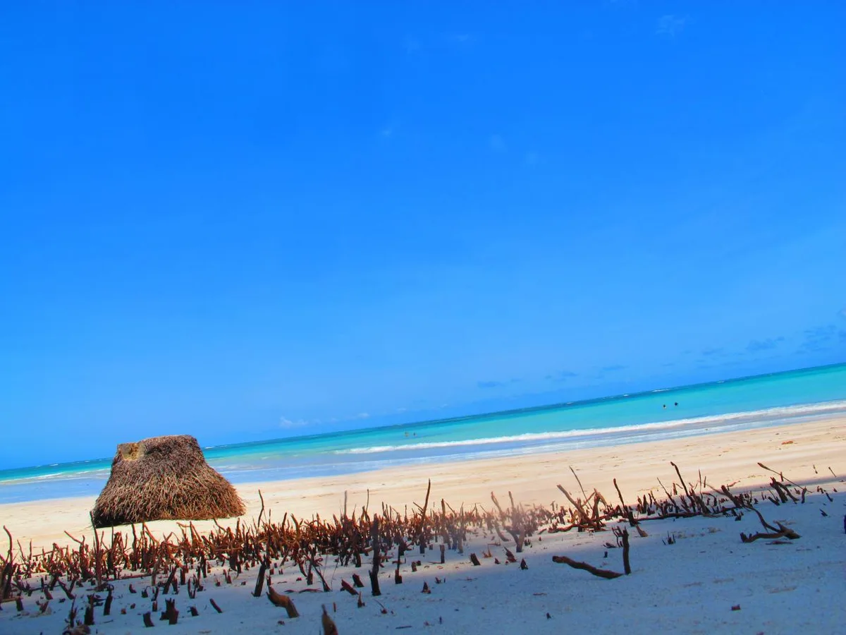 Carneiros Beach, Tamandaré, Northeast Brazil, Brazil — 6