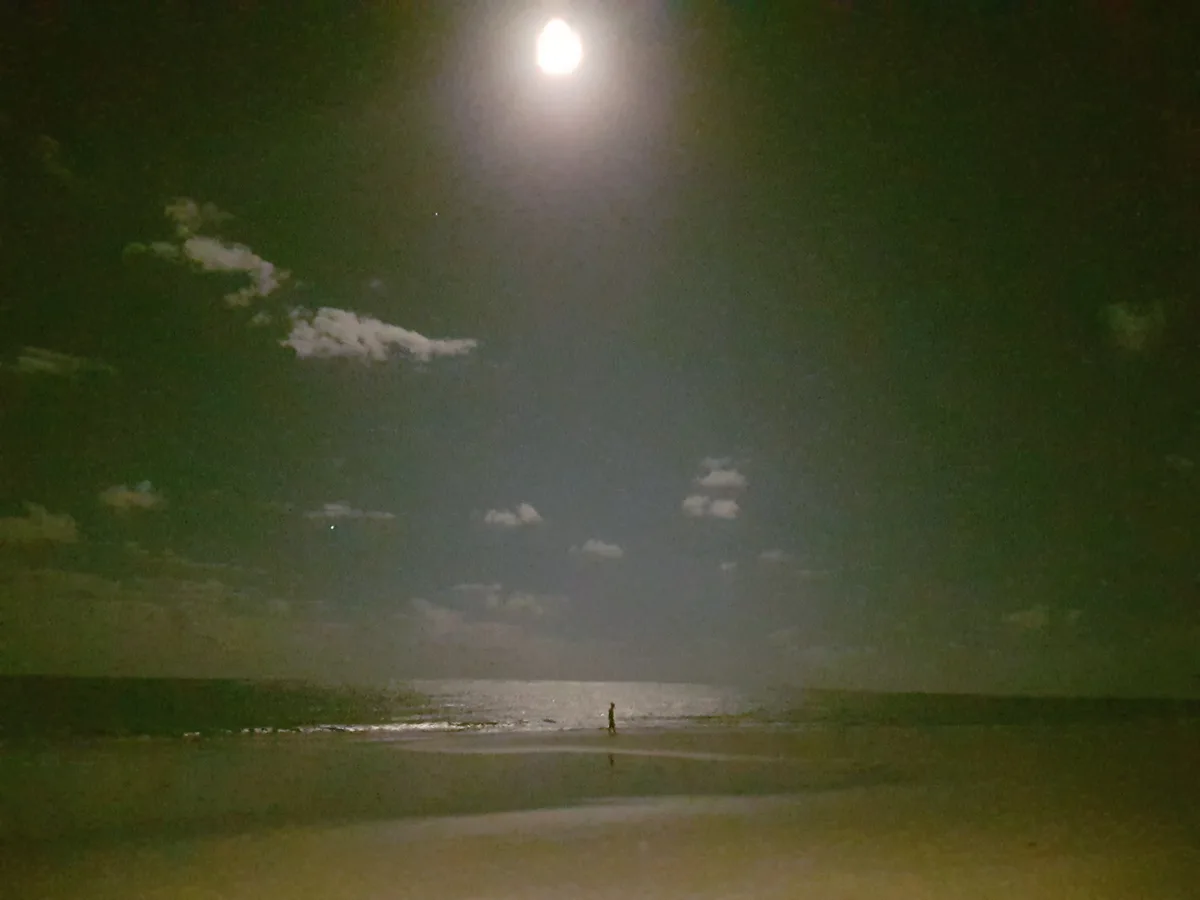 Carneiros Beach, Tamandaré, Northeast Brazil, Brazil — 3
