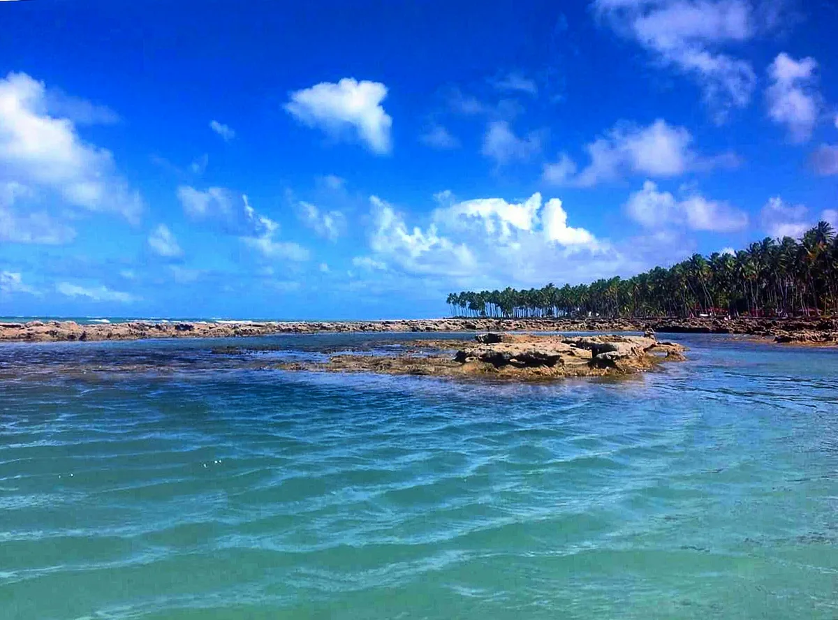 Carneiros Beach, Tamandaré, Northeast Brazil, Brazil — 5