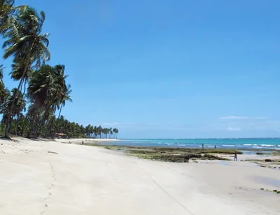 Carneiros Beach, Tamandaré, Northeast Brazil, Brazil — 4