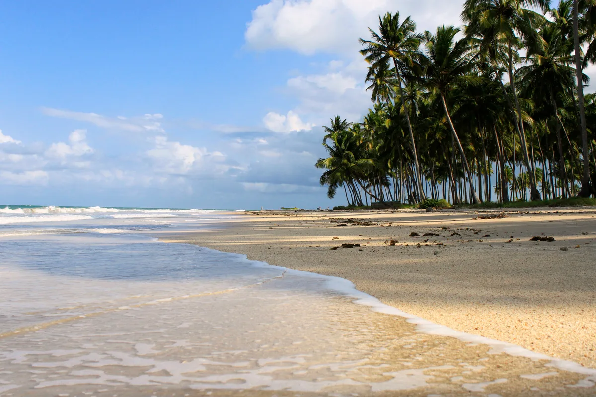 Carneiros Beach, Tamandaré, Northeast Brazil, Brazil — 2