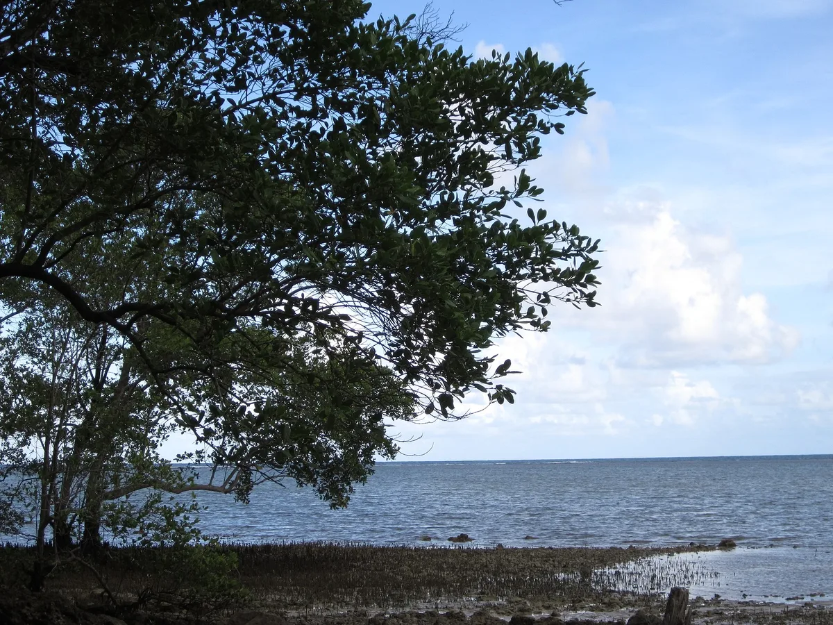 Plage de Boipeba, Cairu, Brazilian Atlantic, Brésil — 4