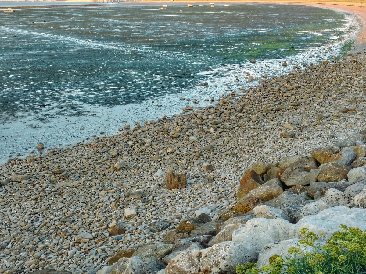 Sablanceaux-Strand, Rivedoux-Plage, Nouvelle-Aquitaine, Frankreich — 6