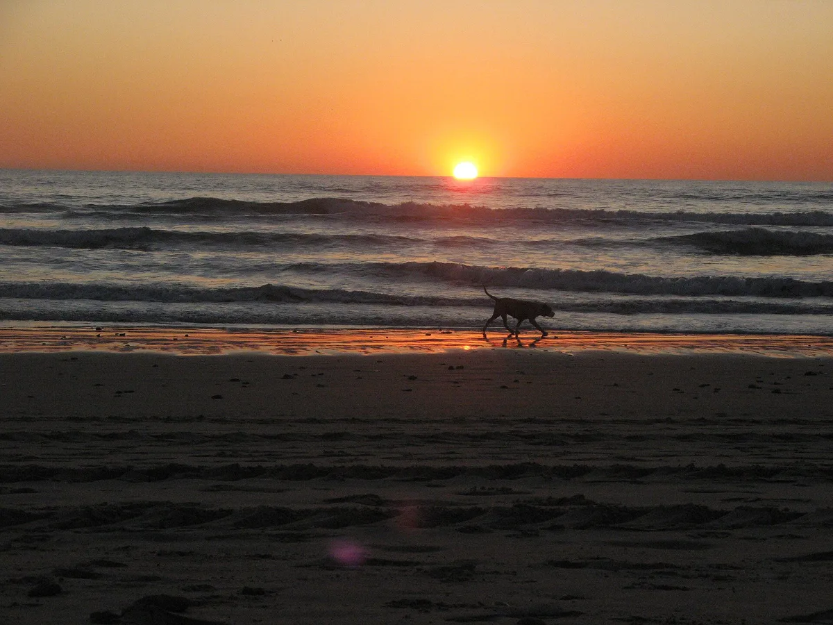 Plage de la Fontanilla, Conil de la Frontera, Andalusia, Espagne