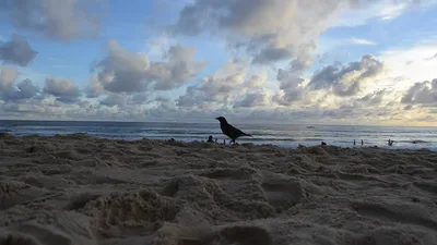 Playa de Karon, Karon, Andaman Sea, Tailandia — 2